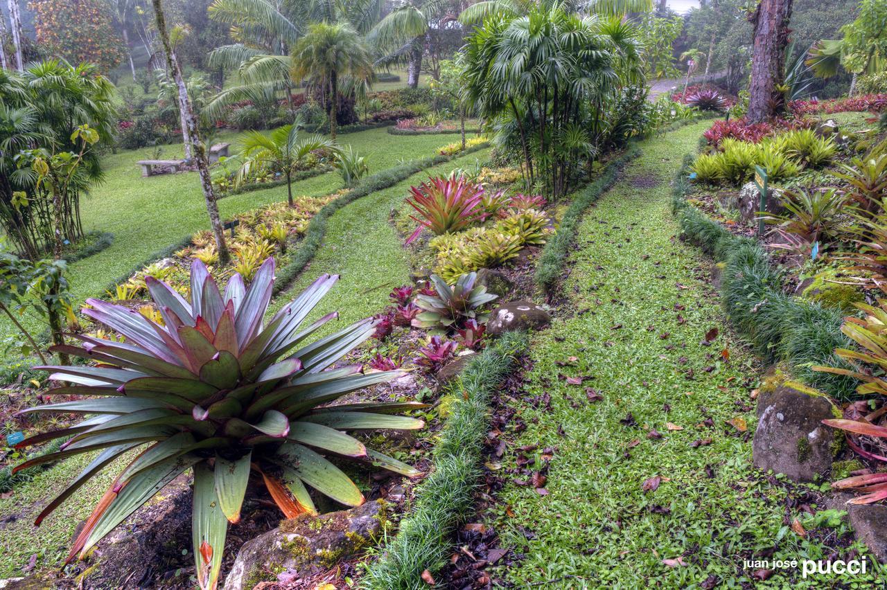 Estacion Biologica Las Cruces Y Jardin Botanico Wilson San Vito Extérieur photo